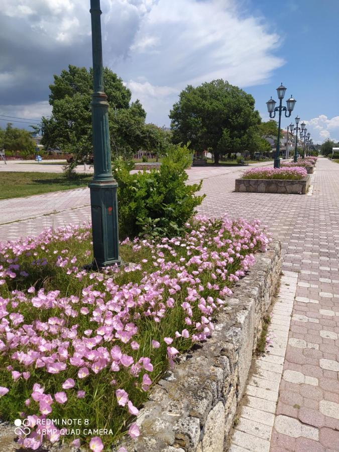 Hause Zorbas Aparthotel Paralía Dionysíou Eksteriør bilde